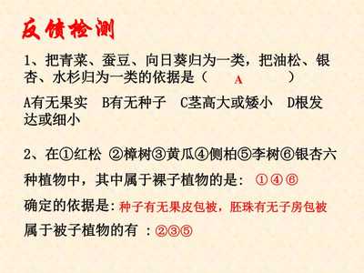 种蚕豆的观察日记