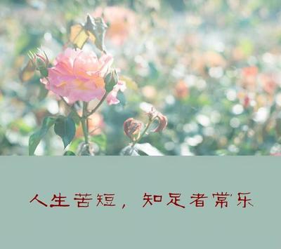 好的人生