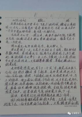 三年级下册日记100字