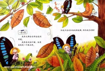 蝴蝶日记