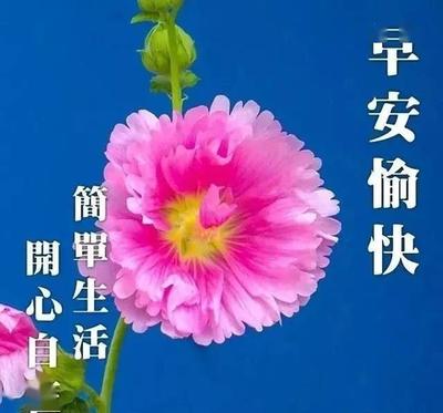 美好祝福语