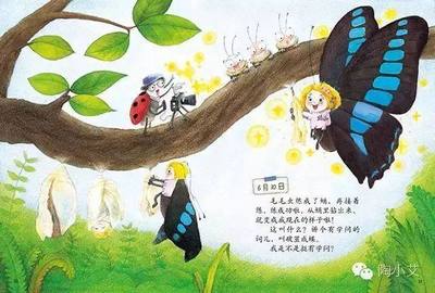蝴蝶日记