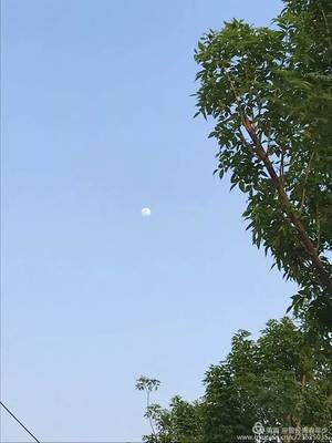 我的家乡冠县