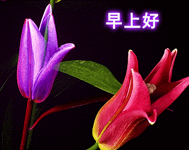 美好祝福语