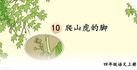 四年级爬山虎的脚课文