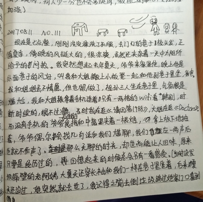我的发现日记200字