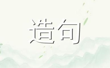 塔造句