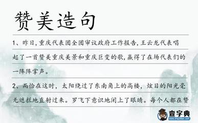 赞美造句大全