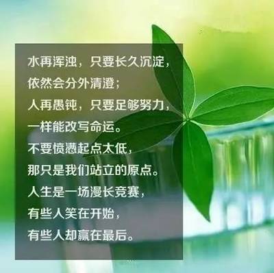 依靠自己的名言
