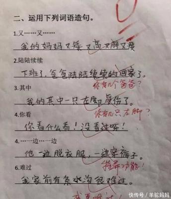 赞美造句大全