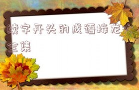 实字开头的成语接龙