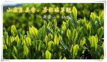 茶开头的诗句
