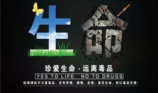 禁毒名言名句