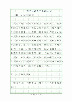 打架日记100字