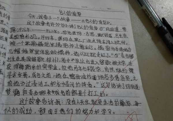 打架日记100字