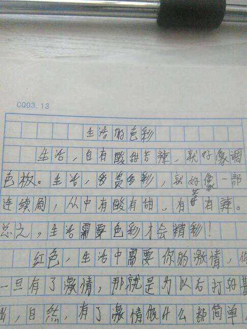 打架日记100字