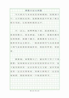 打架日记100字