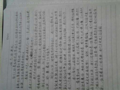 打架日记100字