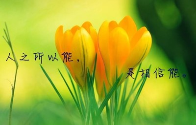 生活哲理名言