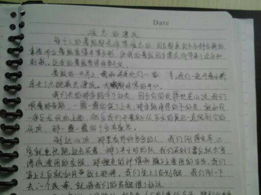 打架日记100字