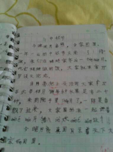 打架日记100字