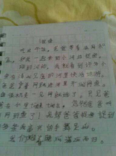 打架日记100字