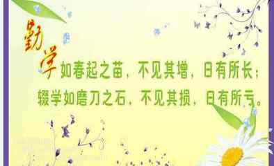 真实的名言