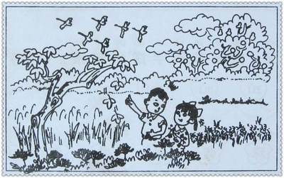 家乡的小河看图写话