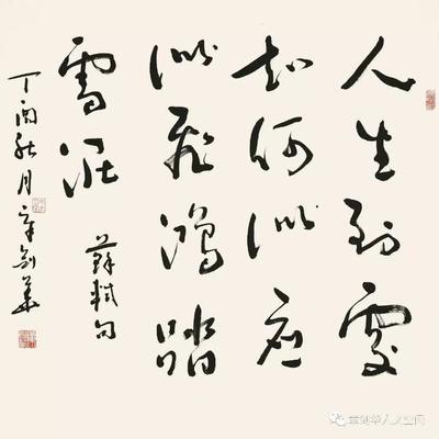 人生如雪泥鸿爪