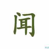 闻字开头的成语