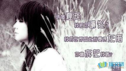 酒和心情的经典语录