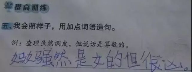 用虽然但是造句