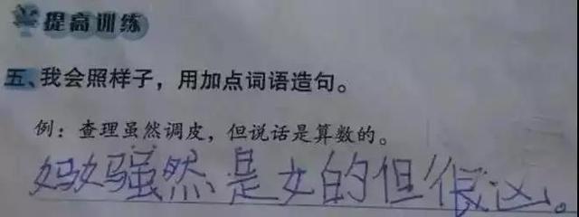 用虽然但是造句