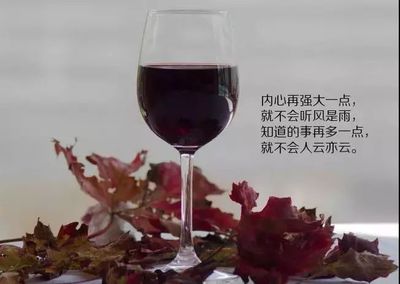酒和心情的经典语录