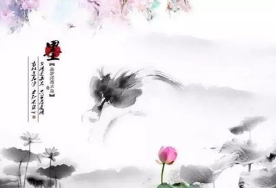 女性励志名言名句大全