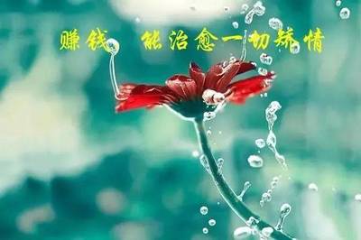 有关洋葱的人生哲理