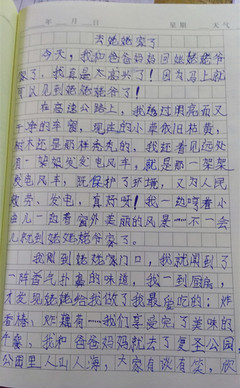 日记我的妈妈50字