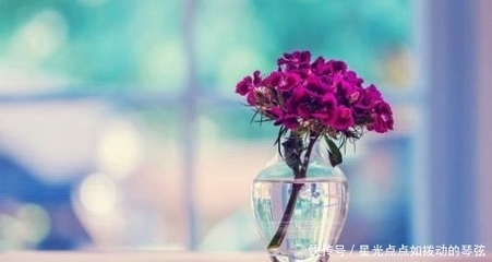 怎么表达相见恨晚心情