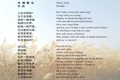 人生翻译成英文