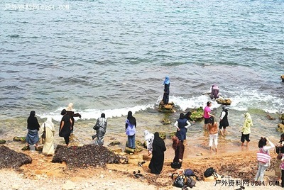 海边游玩日记200字