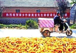家乡的变化新疆
