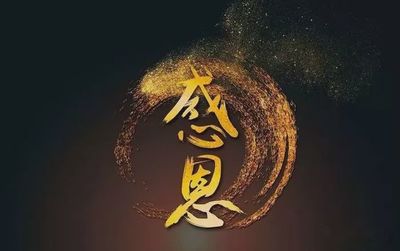 感恩人生