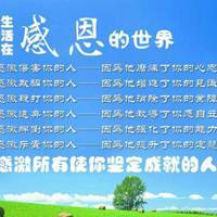 感恩人生