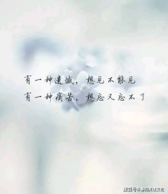 表达心情的话