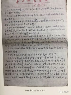 写爸爸的开头