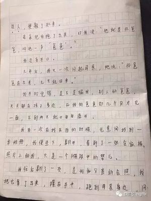 写爸爸的开头