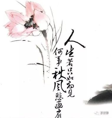 人生若只如初见原唱