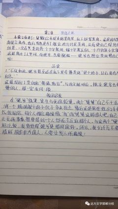 关于成长的片段