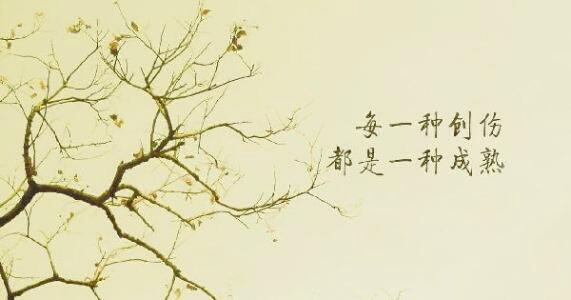 随缘人生