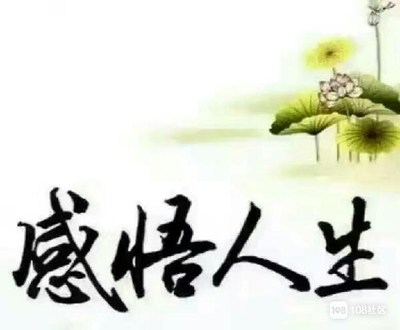 随缘人生